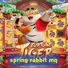 spring rabbit mq