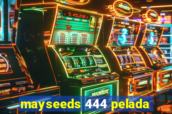 mayseeds 444 pelada