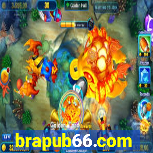 brapub66.com