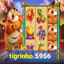 tigrinho 5956