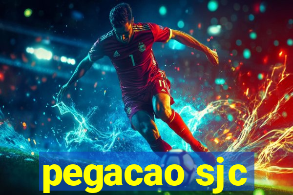 pegacao sjc