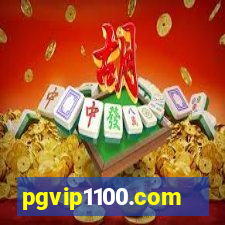 pgvip1100.com