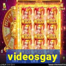 videosgay